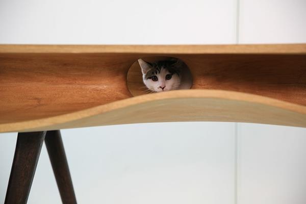 kissan huonekalut aaltojen muodot piilopöytä