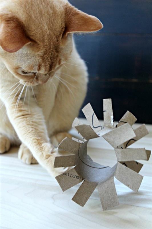 Tee kissojen leluista itsellesi tinker wc -paperirullilla