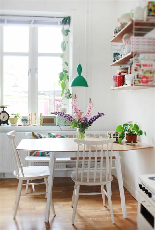 keittiö ruokapöytä seinähyllyt kasvit