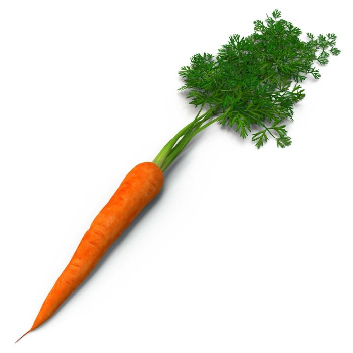 kikherne keittoaineet yksinkertaiset ruoanlaitto reseptit porkkana