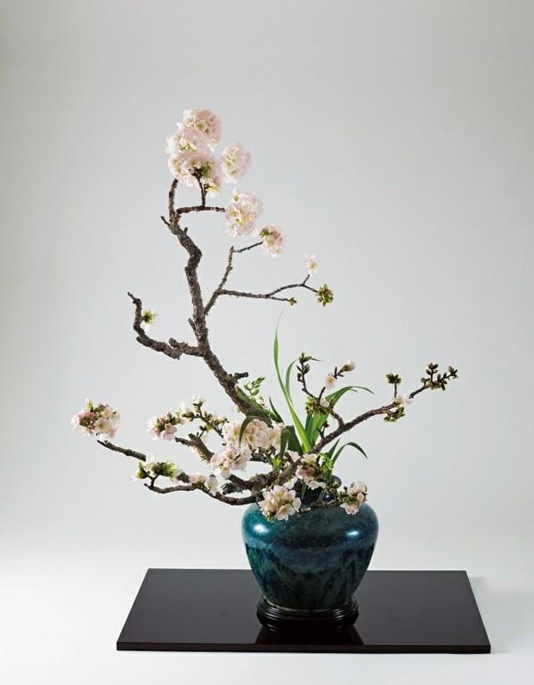 kirsikankukka ikebana japanilainen kukka -asetelma