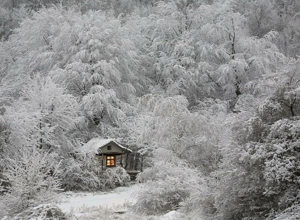 pienet puutalot luonto valkoinen talvi