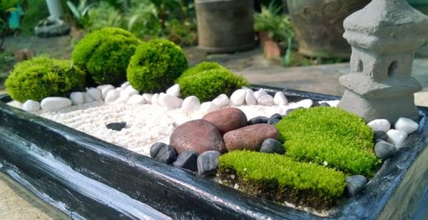 luoda pieniä puutarhoja zen puutarha miniatyyri