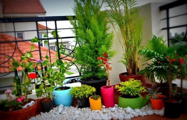 pieni parveke tekee pienen puutarhan