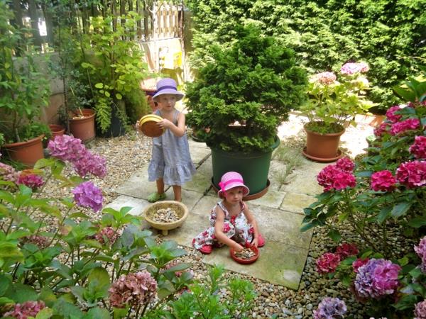 Luo pieni puutarha piha kivi laatat laatat pikkukivet hydrangeas