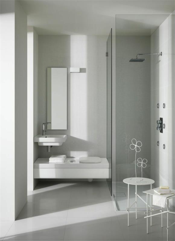 pieni kylpyhuoneideoita moderni kylpyhuone lattiatasoinen suihku