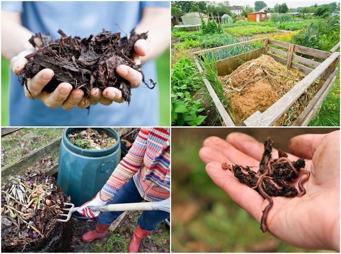 kompostin kompostin biojätteen vaiheet lannoitteeseen