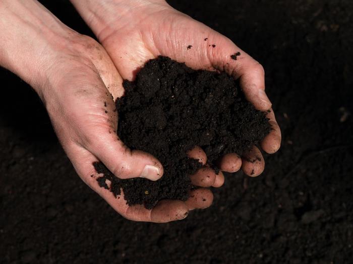 Luo kompostia Tee komposti itse tuoreesta maaperästä