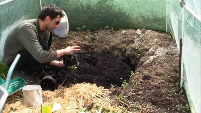 puutarhassa luodaan kompostia