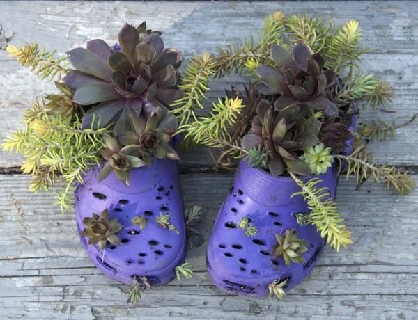 luovia kumin kierrätysideoita vanhoja violetteja kenkiä käytetään kukkaruukkuina