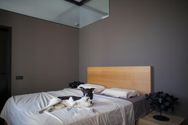 luova huoneisto, jossa on virtaviivainen minimalistinen makuuhuone koiran kanssa