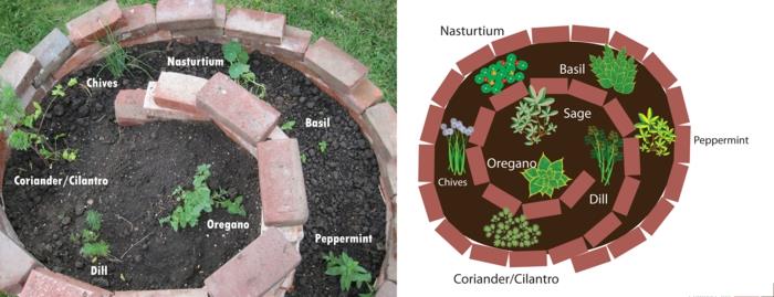 yrtti kierre kivi rakennus pienet kivet täynnä kukintaa tiili yrtti kierre