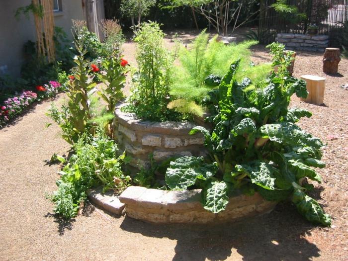 yrtti kierre kivi pienet kivet täynnä kukintaa