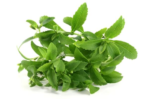 kakku ilman stevia -kasvien valkoisia kukkia
