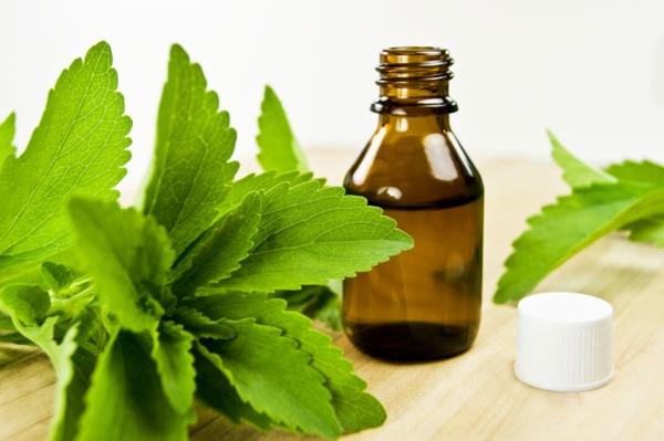 kakku ilman stevia makeutusainetta
