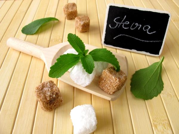 kakku ilman sokeria stevia kasvi sokeri
