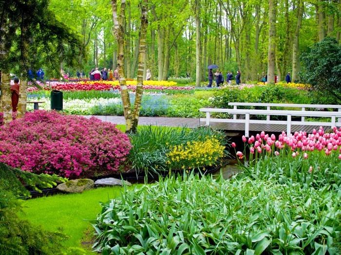 lyhyt matka amsterdam vierailu keukenhof nauttia kukkien kauneudesta