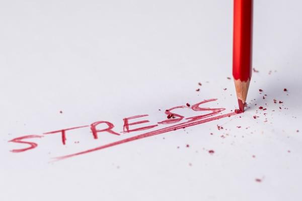 l-teaniini stressiä vastaan