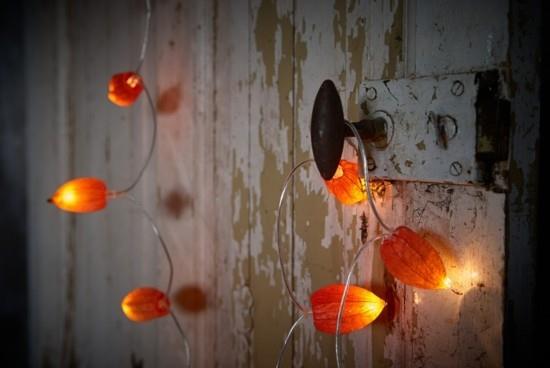 tinker lampion kukka physalis keiju valot