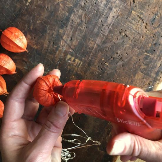 tinker lampion kukka physalis keiju valot
