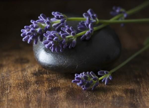 Tee itsestäsi terve laventeliöljy laventeli kattilassa