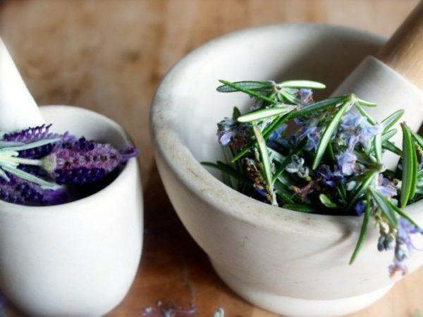 laventeliöljy puhtaat luonnolliset öljyt laventeli kasvit rauhoittavat