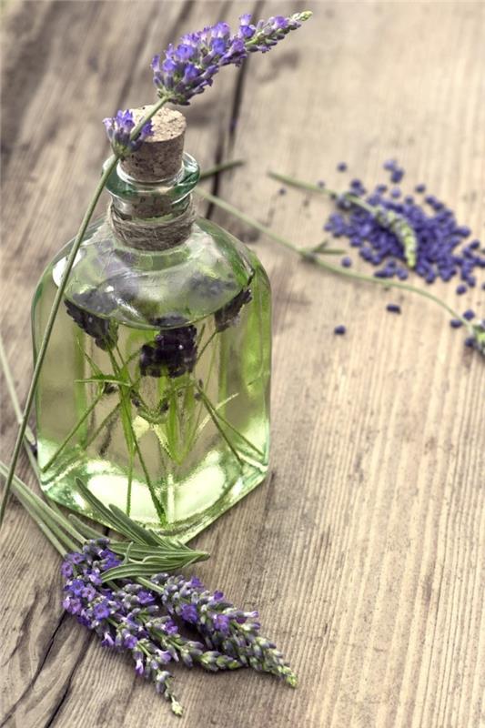 laventeliöljy luonnolliset öljyt laventeli kasvit 3