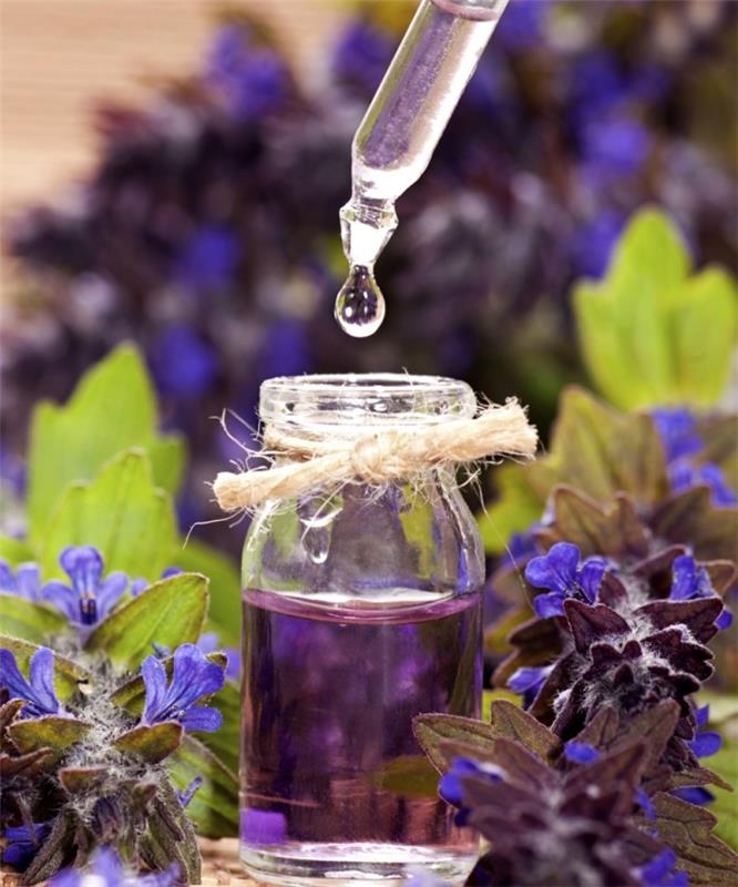 laventeliöljyn luonnolliset öljyt