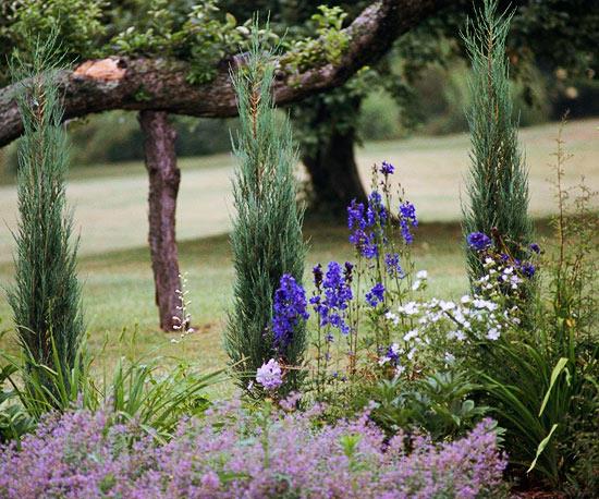helppoja maisemaideoita koskevat säännöt noudattavat violetteja kukkia