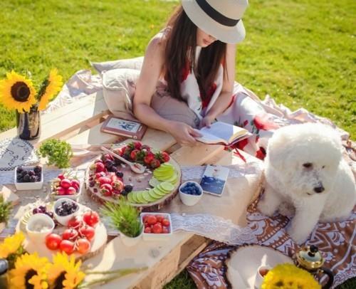 lukea ja kirjoittaa piknik -ideoita