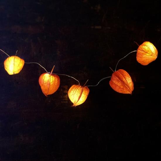 keiju valot lampion kukka physalis