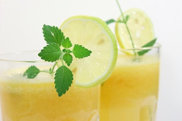 limonadi itse tee kesäreseptit virkistäviksi