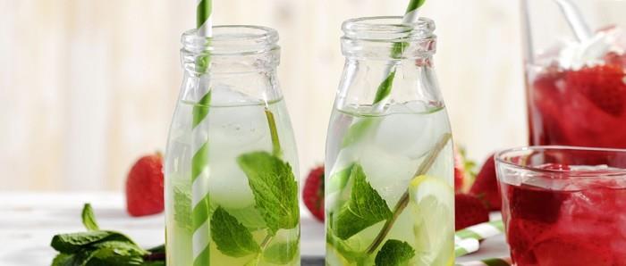 Tee limonadi itsellesi kesäreseptejä seljanmarjan minttua