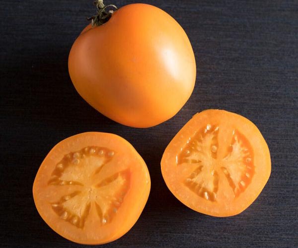 Valencia tomater