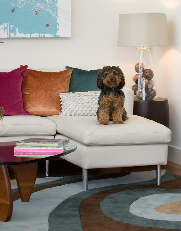 hauska koiran sohva tyyny koirat kotona pöytävalaisin