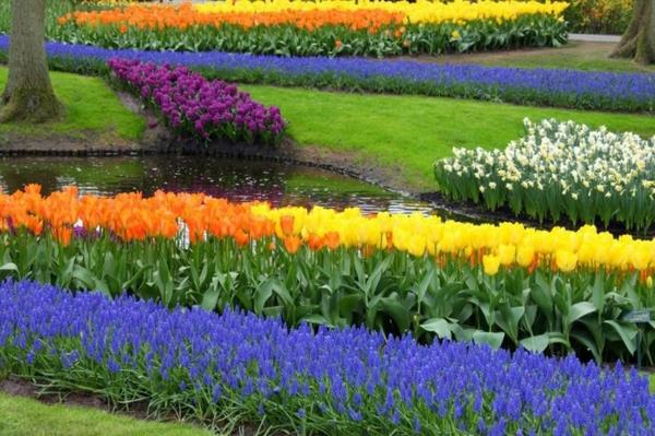 Puutarhaideoita värien kanssa