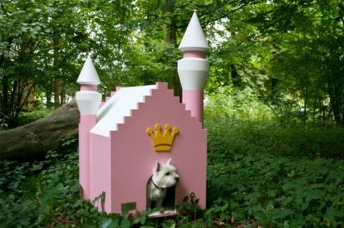 Koiratalo suunnittelee kompakti vaaleanpunainen kuninkaallinen