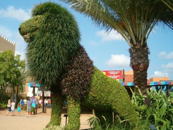 leijona palmu boxwood topiary puutarha maisema