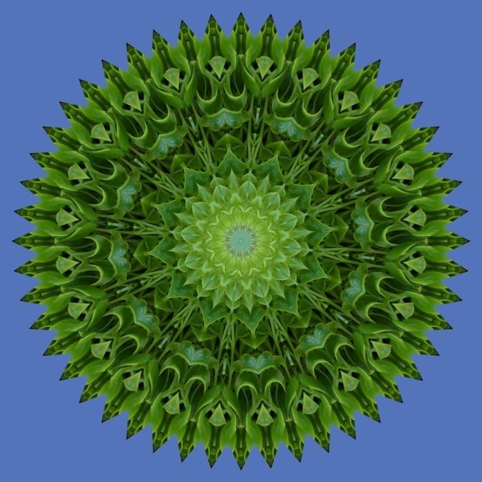 mandala joulua varten värityskuvat joulunvihreä sininen
