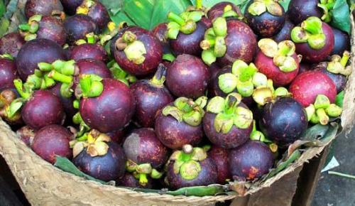 Mangosteen under graviditeten 2