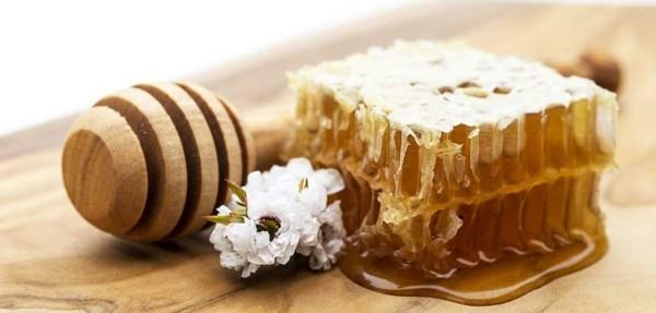 manuka hunaja terve