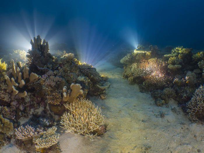 merenpohja valolla - vedenalaiset kuvat