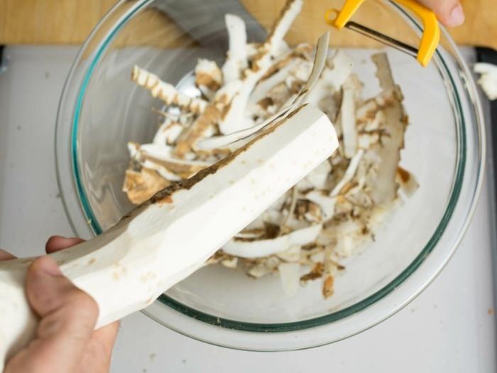 piparjuuri resepti lääkekasvien juurikuori