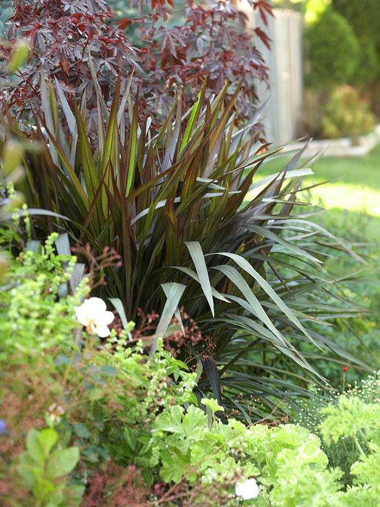 Kuivuutta sietävät puutarhakasvit tuovat puutarhaan enemmän väriä Yuca-tummanvihreät tyylikkäät pitkät lehdet