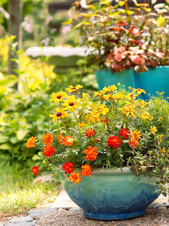 lisää väriä puutarhassa tuo auringonkeltaisia ​​ja oransseja kukkia kukkasäiliöön