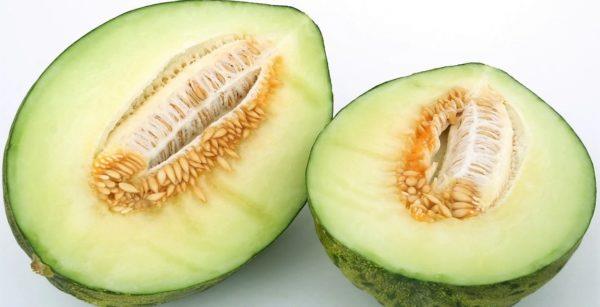 ajatus meloneista terveelliseen elämään
