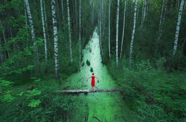 mies metsässä maisema Valko -Venäjä kuvia