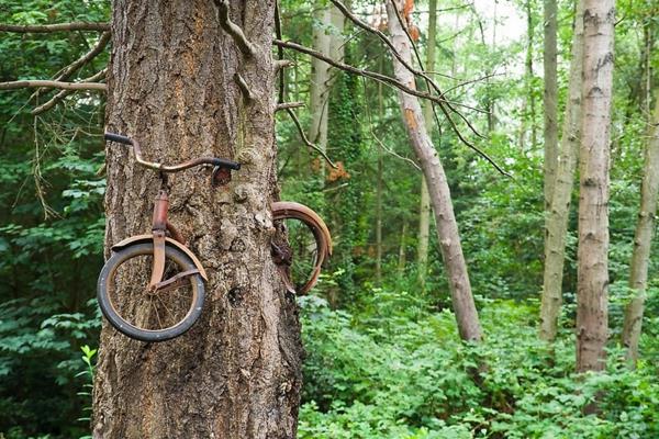 ihminen ja luonto maa ja ihmisen luonto kuvat puu polkupyörä