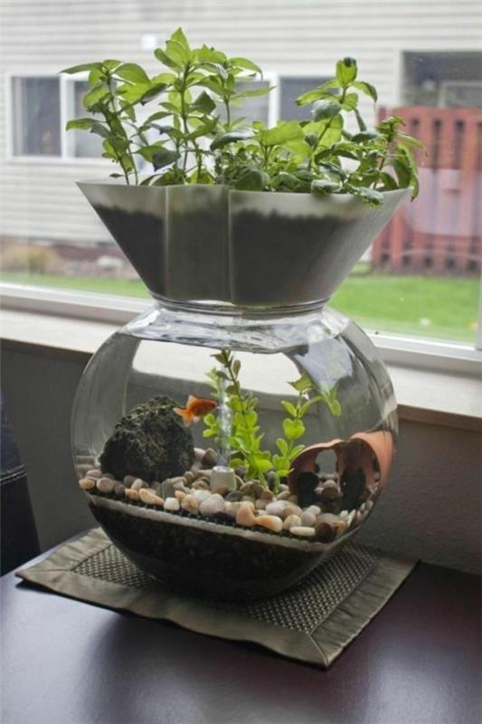 mini aquaponics idea akvaario