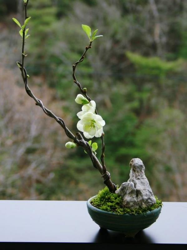 mini zen -muotoinen puutarha luo kukkia